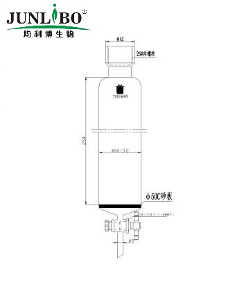 具砂板层析柱,25#内螺纹,φ60mm,2mm节门孔径,有效长:254mm