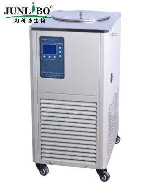 低温冷却液循环泵 DLSK 10L/-20°（配5L的旋蒸）(China）