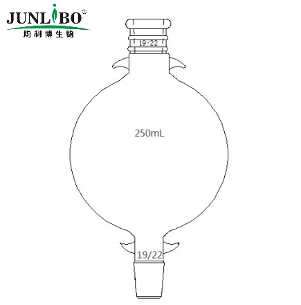 加强口，层析用溶剂存储瓶,19/22,250ml,上下磨口带耳朵