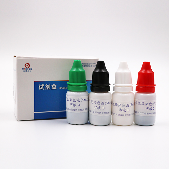 海博 革兰氏染色液5ml*8支