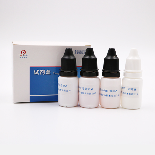 海博 V-P试剂盒5ml*4支