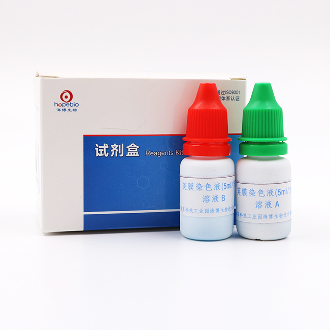 海博 荚膜染色液5ml*4支