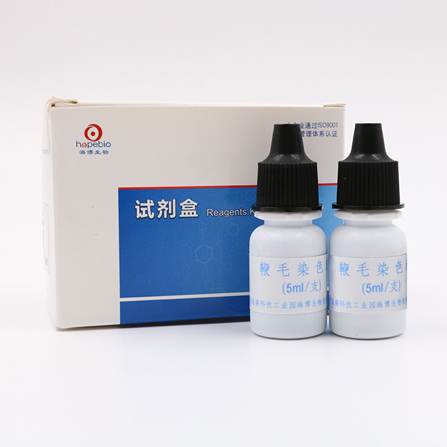 海博 刘荣标氏鞭毛染色液5ml*8支