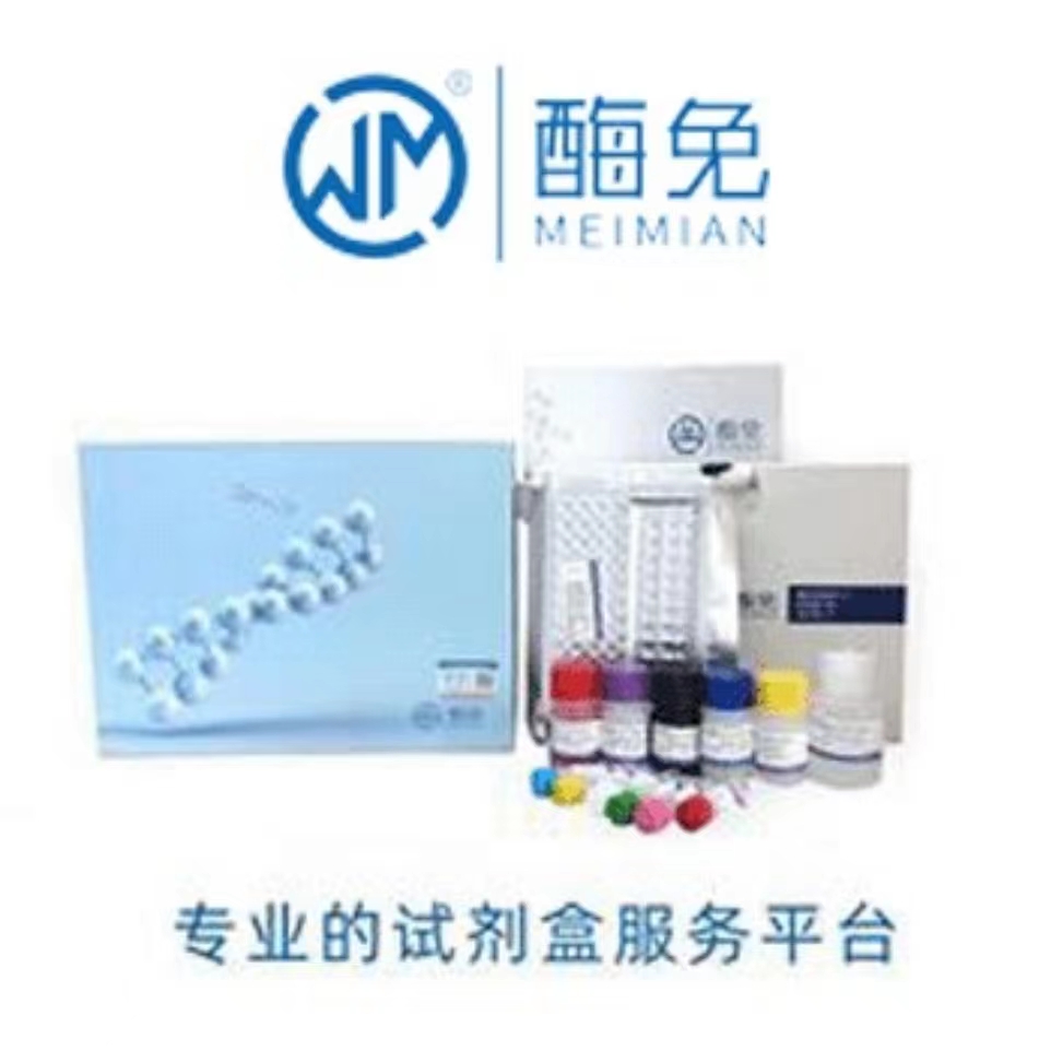 小鼠白细胞介素-1β前体(Pro-IL-1β)ELISA试剂盒